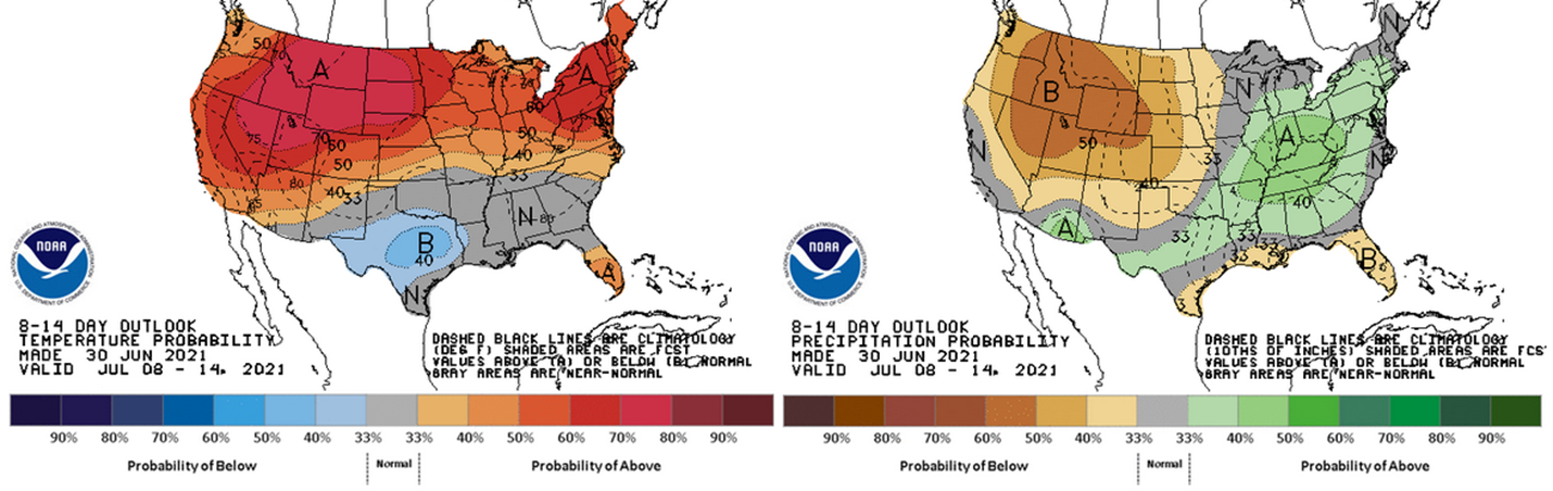 8-14 day outlook